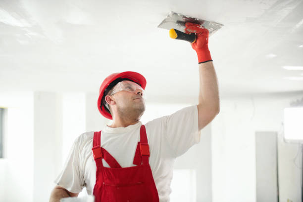 Best Biohazard Mold Removal  in Hicksville, OH