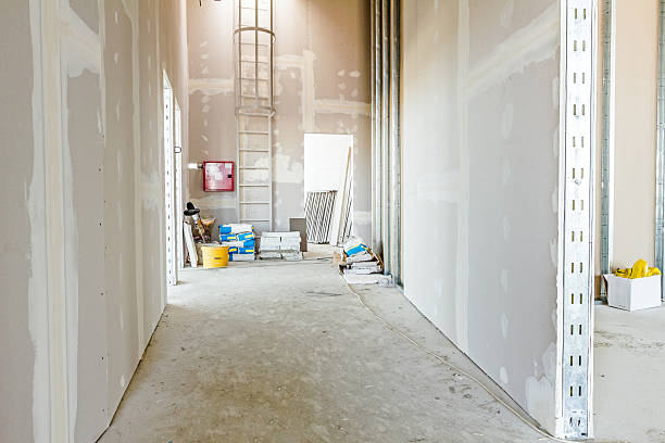 Best Mold Remediation for Healthcare Facilities  in Hicksville, OH