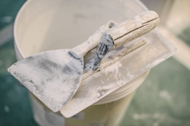 Best Asbestos and Lead Testing During Mold Inspection  in Hicksville, OH