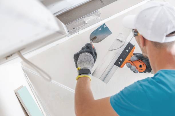 Best Attic Mold Removal  in Hicksville, OH